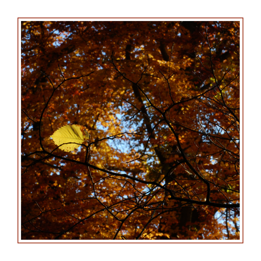 Herbst VI