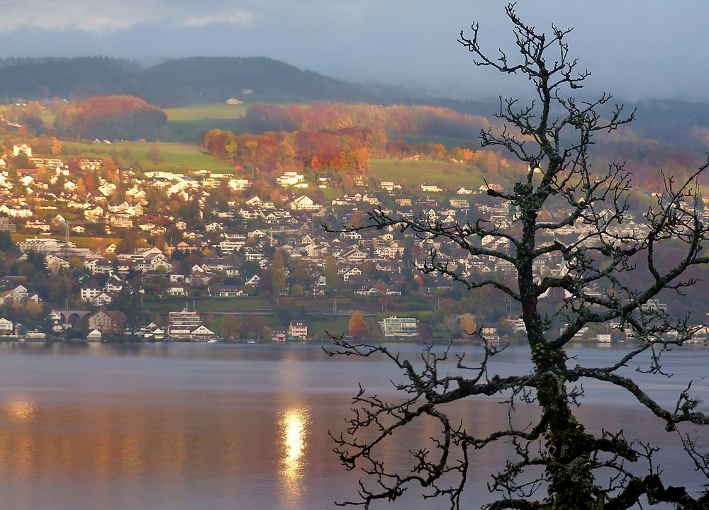 Herbst vis-à-vis