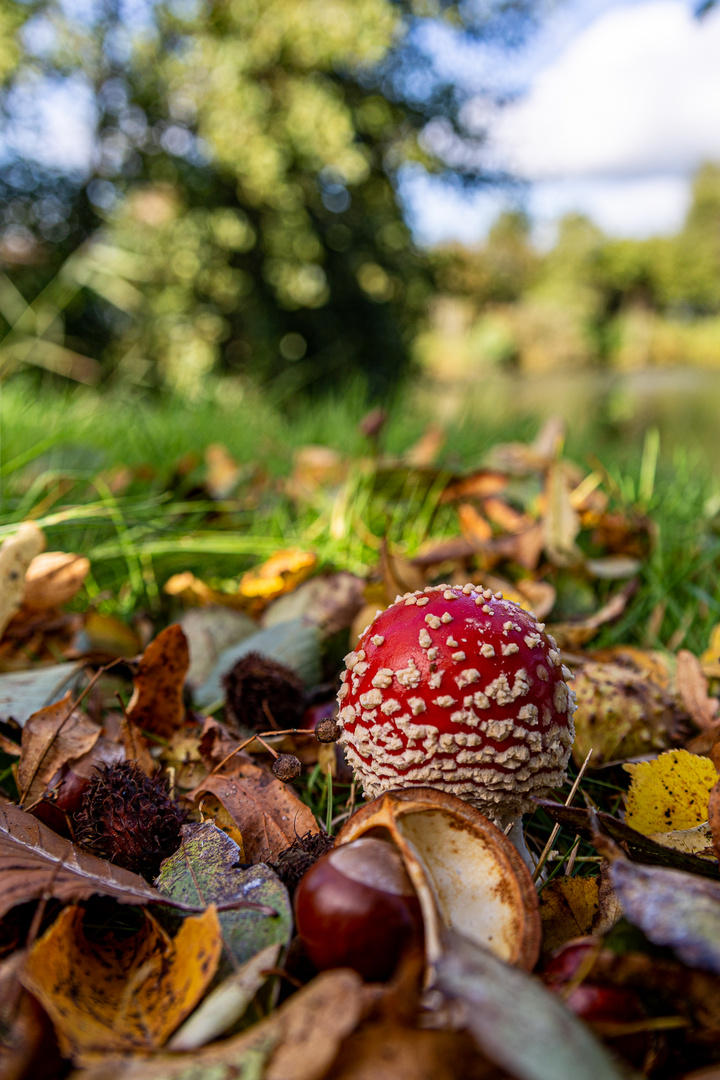 Herbst Völlen Part 3-17