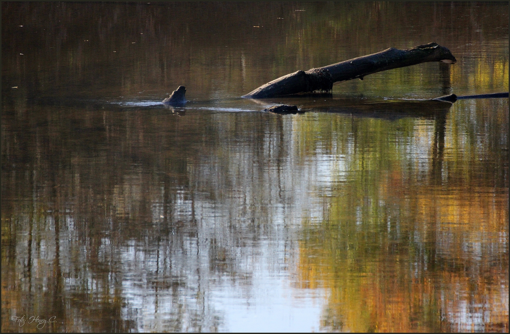 "Herbst" , vom Wasser gemalt !