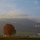 Herbst von der Autobahn aus