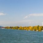 Herbst von der Reichsbrücke gesehen