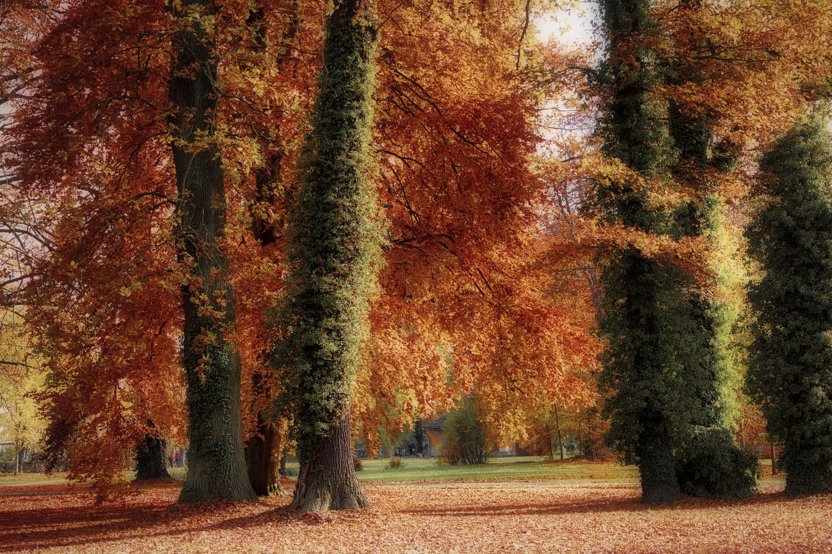 Herbst von der schönsten Seite