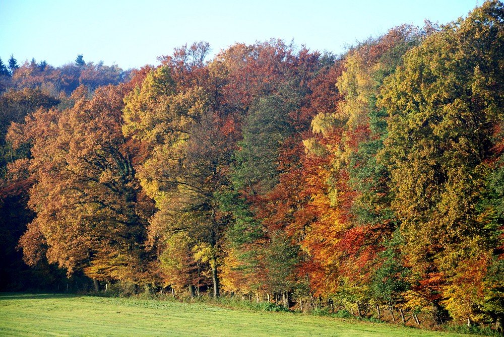 Herbst, von meinem Balkon aus fotografiert