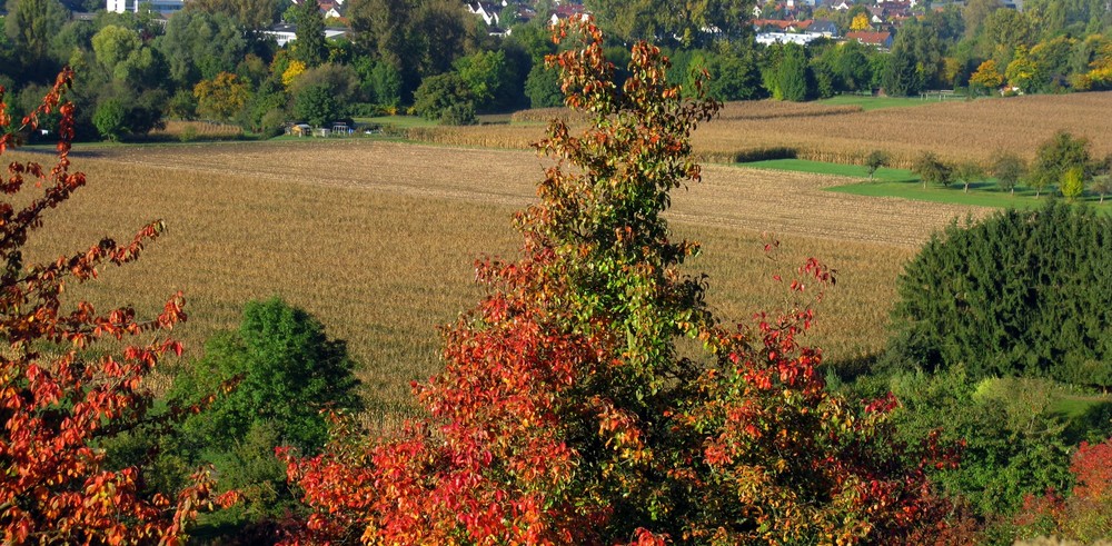 Herbst von oben