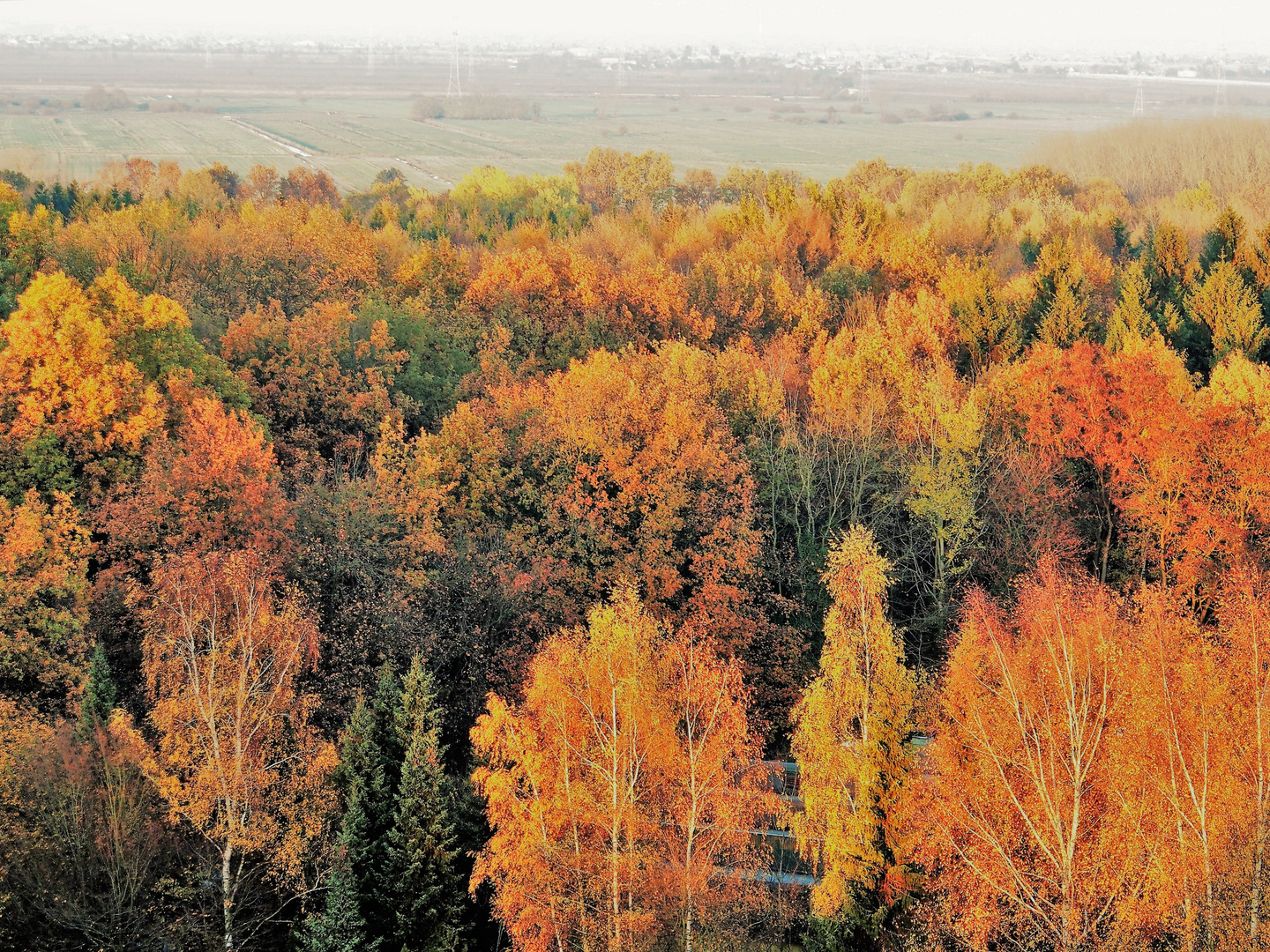 Herbst von oben