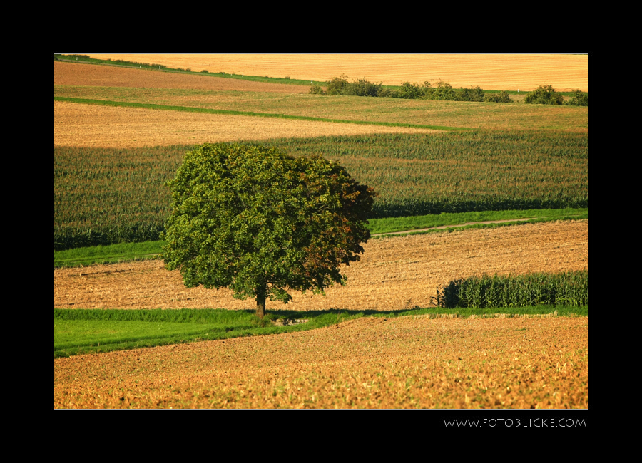 Herbst von rechts