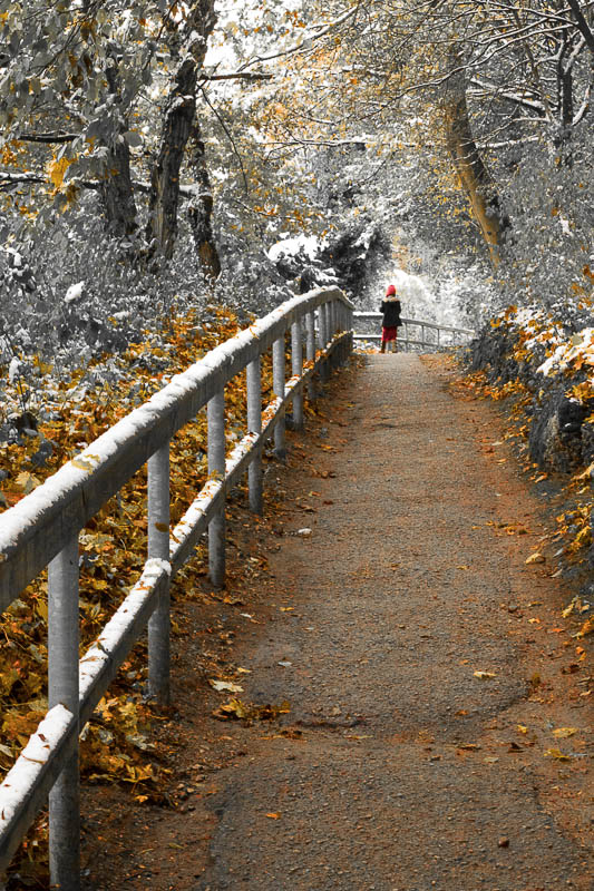 Herbst von Schnee überrascht