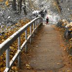 Herbst von Schnee überrascht