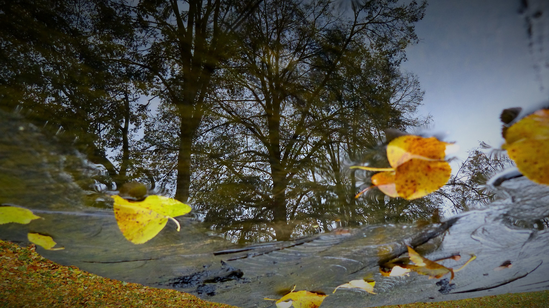 Herbst von seiner schönen Seite