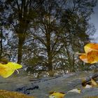 Herbst von seiner schönen Seite