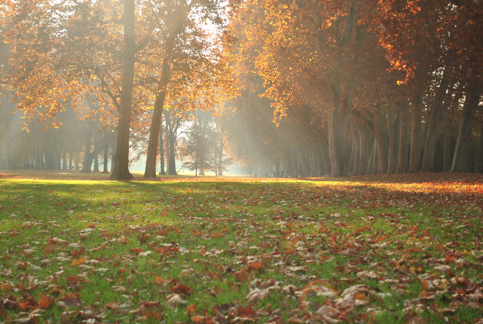 Herbst von seiner schönen Seite