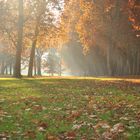 Herbst von seiner schönen Seite