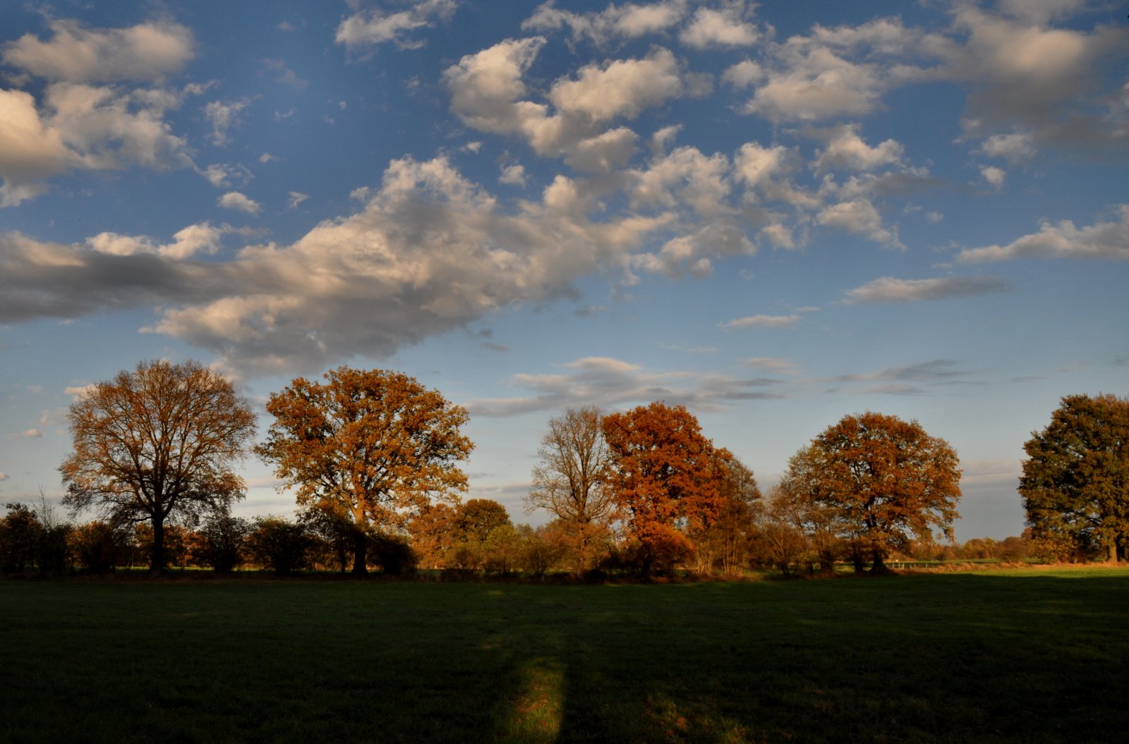 Herbst ...von seiner schönsten Seite