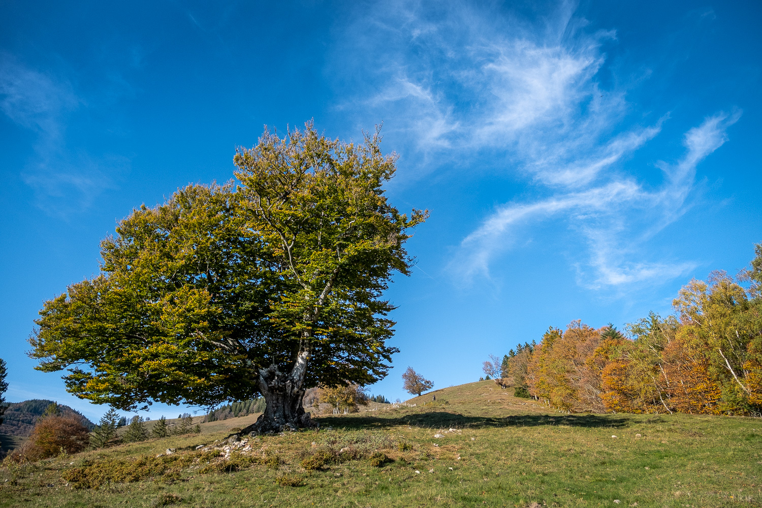 Herbst von seiner schönsten Seite