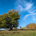 Herbst von seiner schönsten Seite