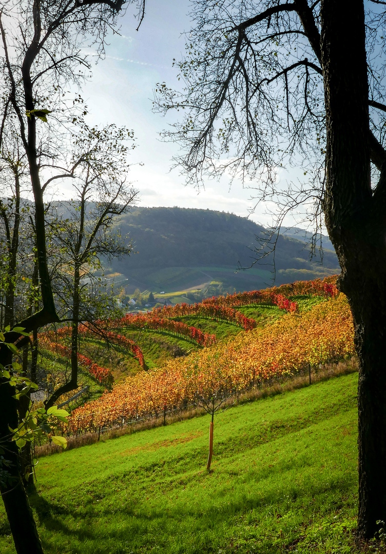 Herbst von seiner schönsten Seite