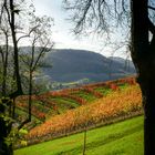 Herbst von seiner schönsten Seite