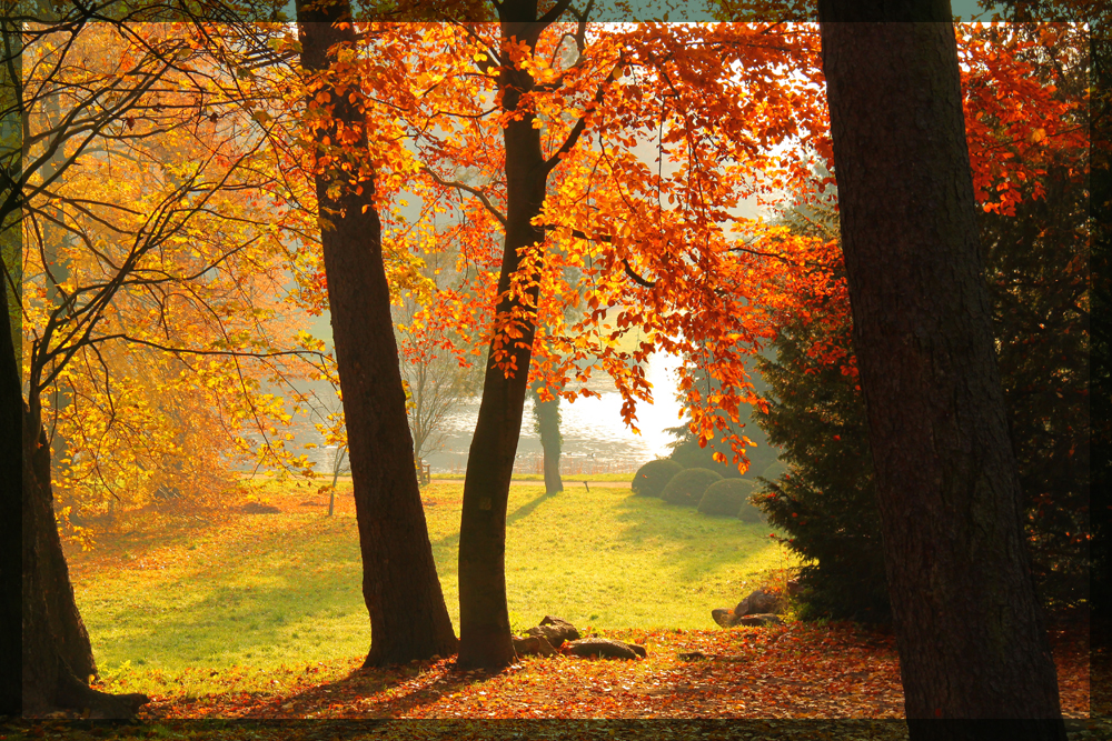 Herbst von seiner schönsten Seite