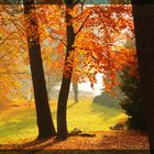 Herbst von seiner schönsten Seite