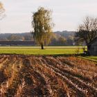 Herbst von seiner schönsten Seite