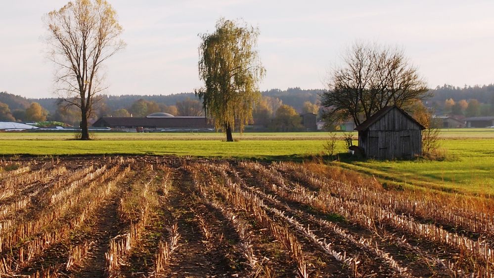 Herbst von seiner schönsten Seite