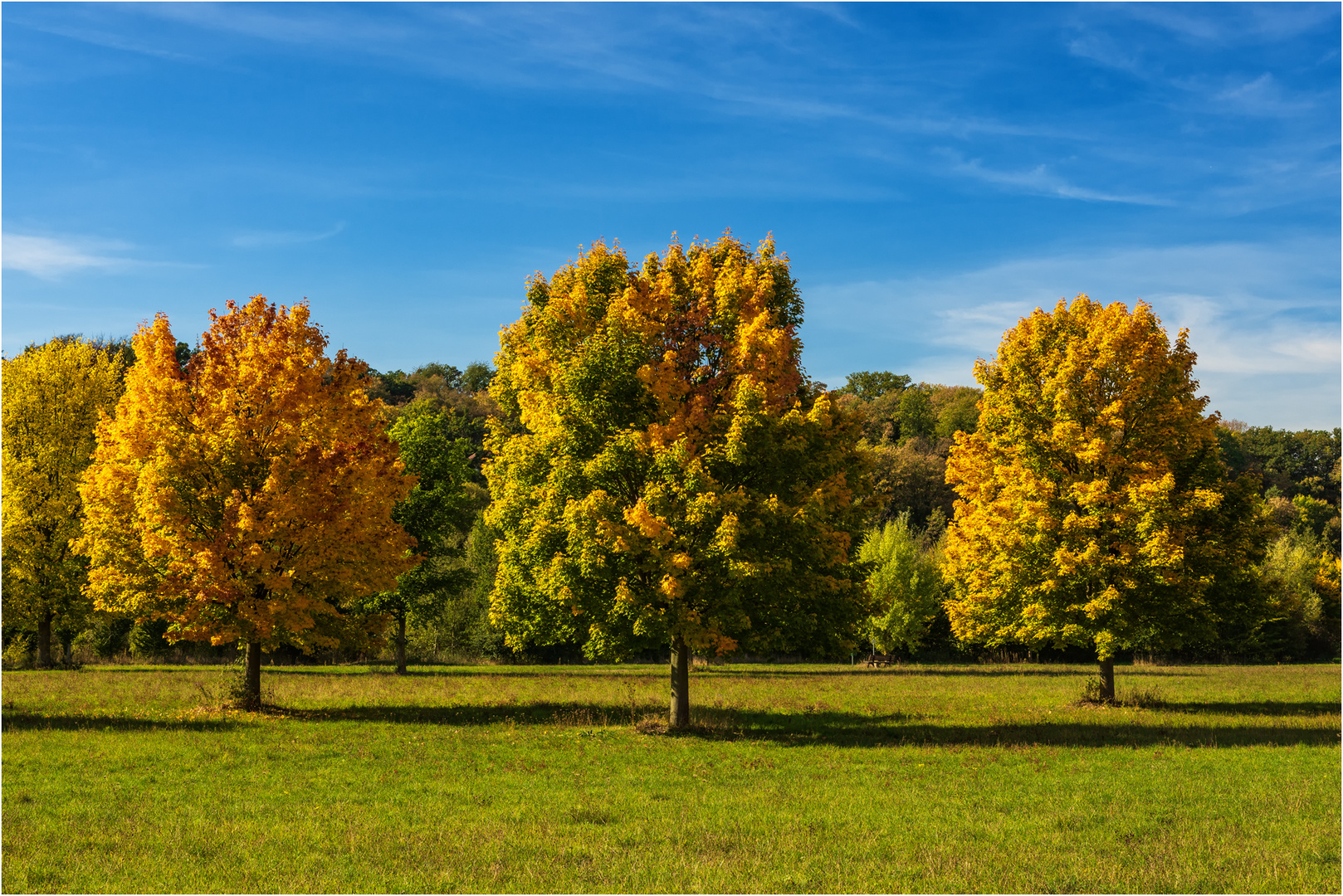 Herbst von seiner schönsten Seite