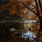 Herbst von seiner schönsten Seite