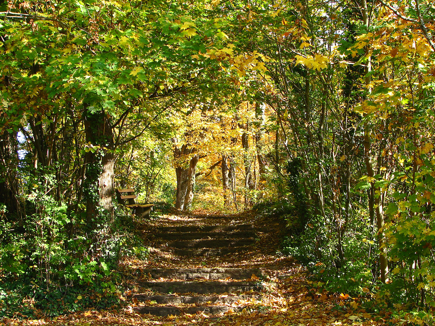 Herbst von seiner schönsten Seite