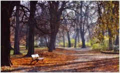 Herbst von seiner Schokolodenseite