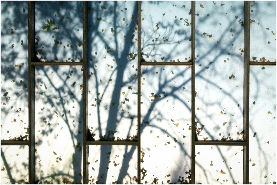 Herbst vor dem Fenster