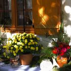 Herbst vor dem Haus