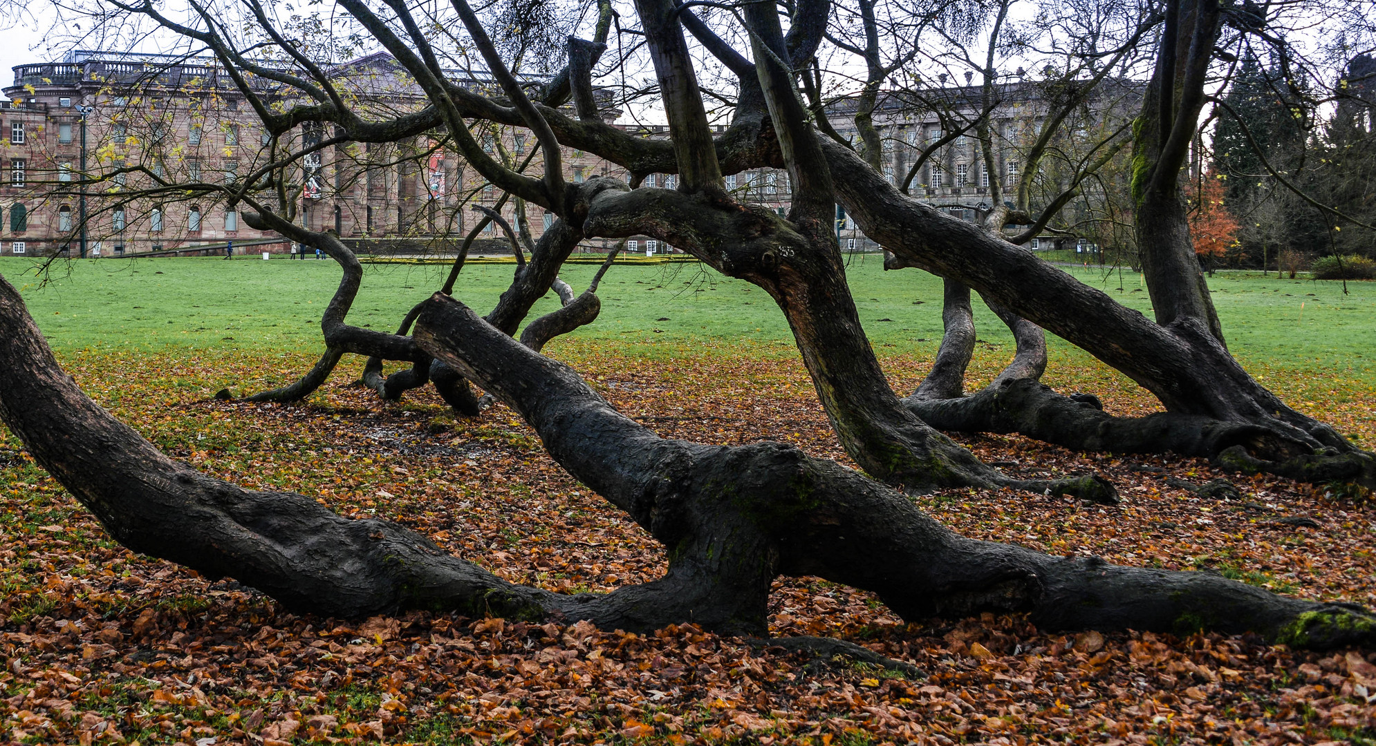 Herbst vor dem Schloss 