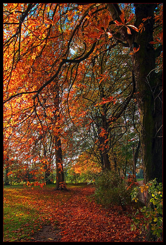 Herbst vor der Haustür