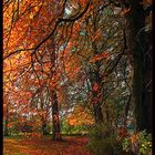 Herbst vor der Haustür