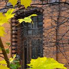 Herbst vor der Haustür - Hannover-Nordstadt