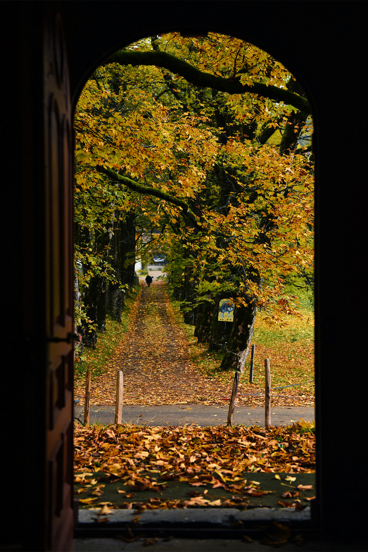 ...Herbst vor der Türe...