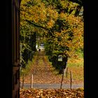 ...Herbst vor der Türe...