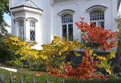 Herbst vor einer Villa 