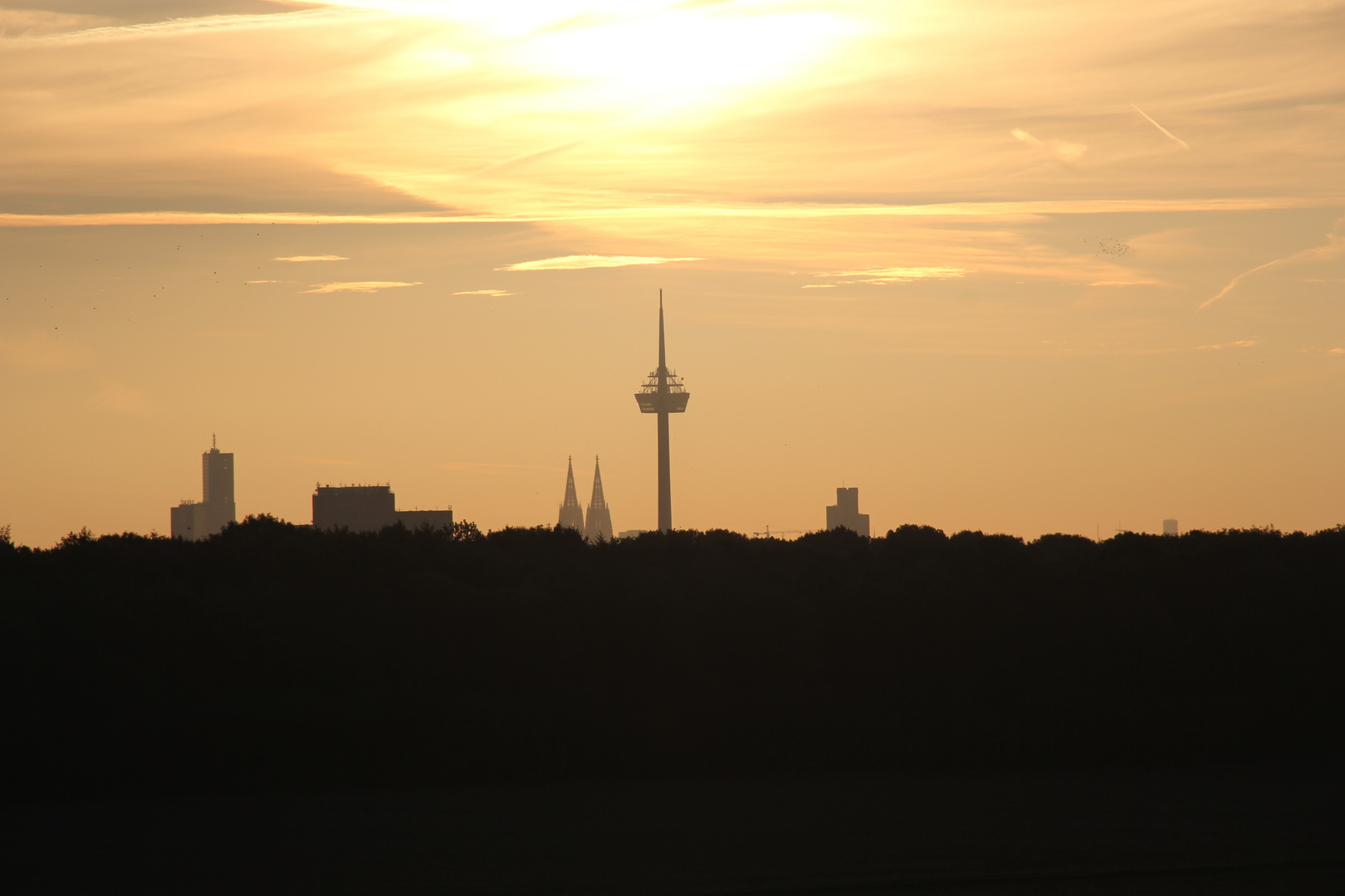 Herbst vor Köln