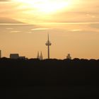 Herbst vor Köln