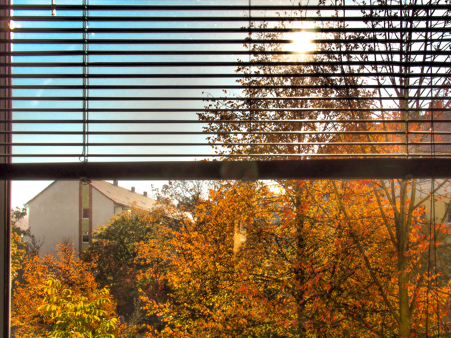 Herbst vor meinem Fenster