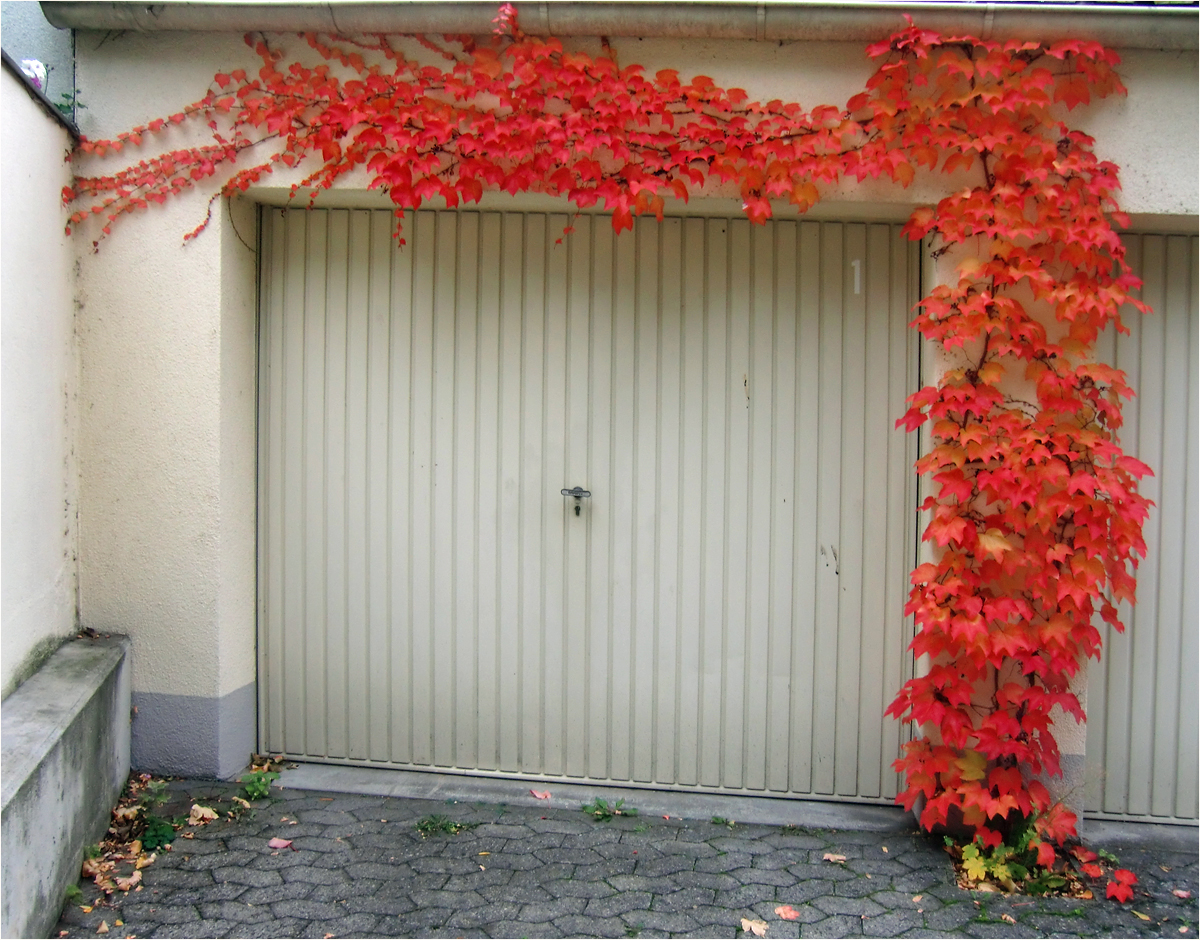 Herbst vor meiner Garage