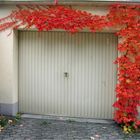 Herbst vor meiner Garage