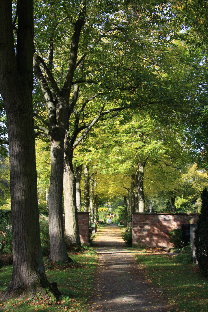 Herbst vor meiner Haustür