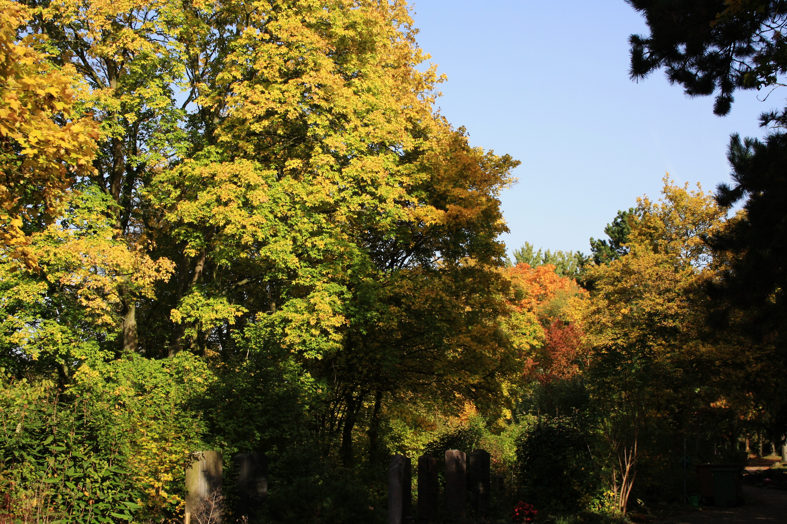 Herbst vor meiner Haustür II