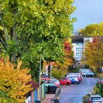 Herbst vor meiner Wohnung