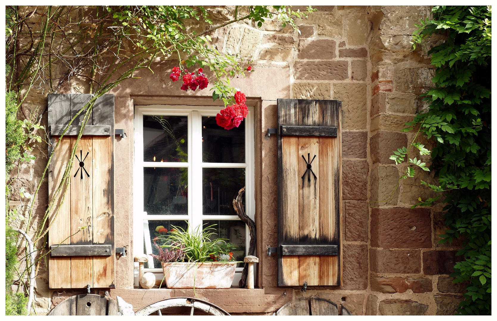 Herbst vorm Fenster