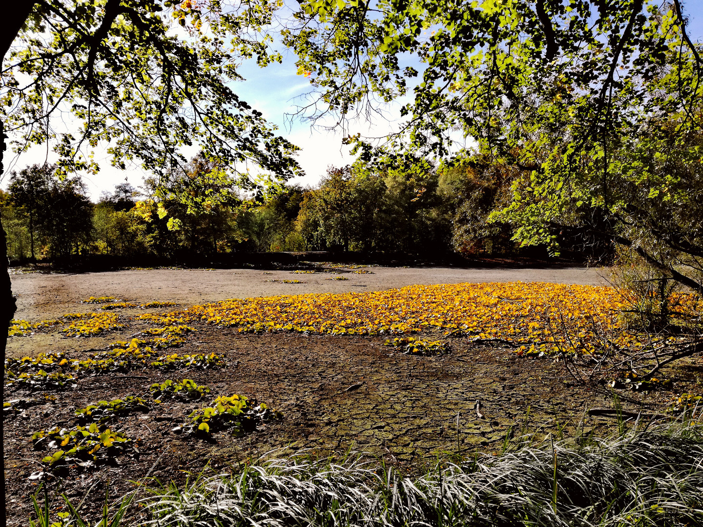 Herbst vs. Sommer