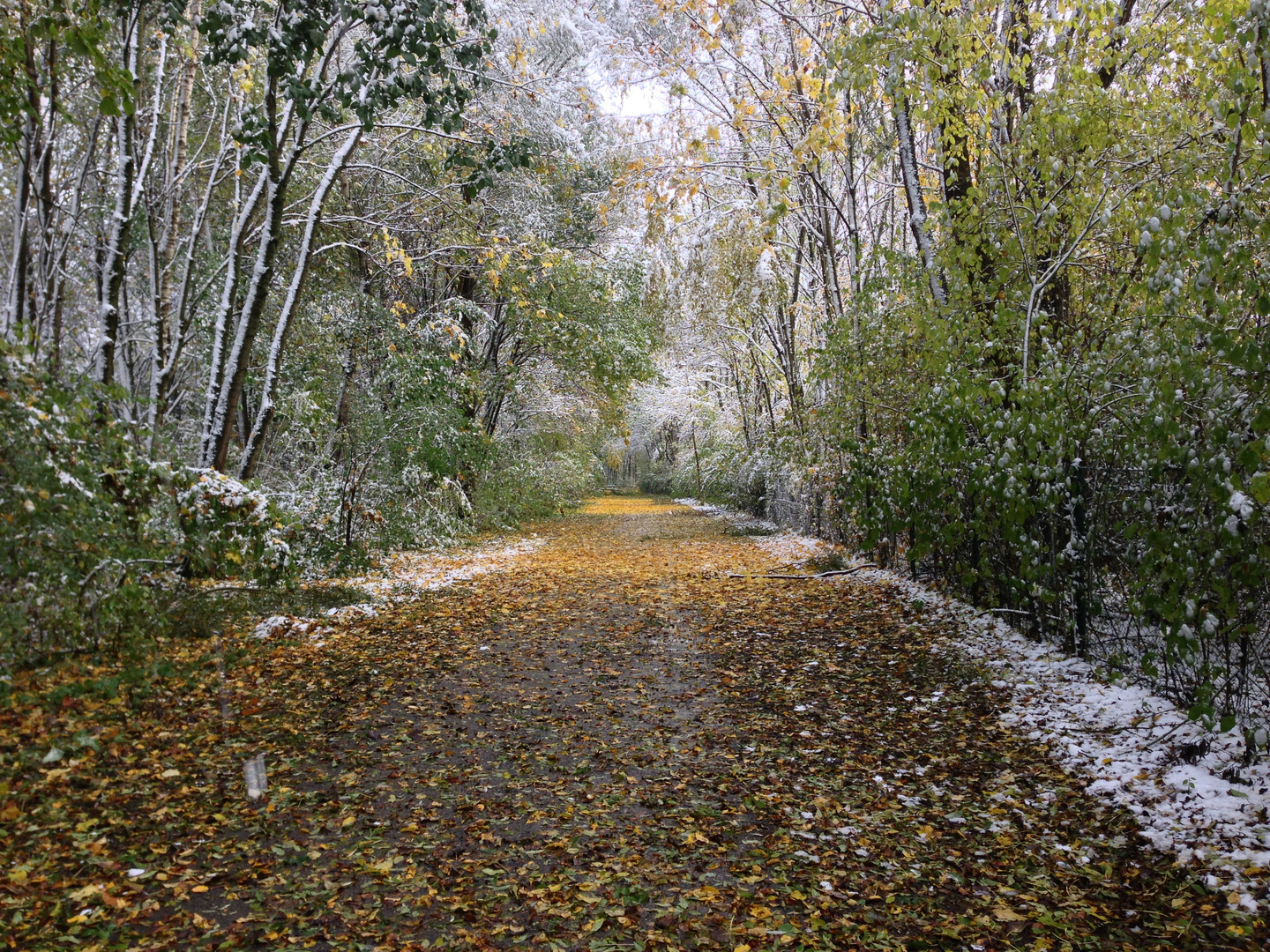 Herbst vs. Winter